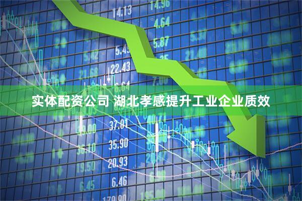 实体配资公司 湖北孝感提升工业企业质效