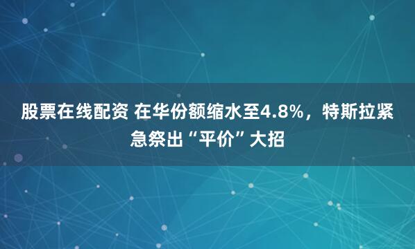 股票在线配资 在华份额缩水至4.8%，特斯拉紧急祭出“平价”大招